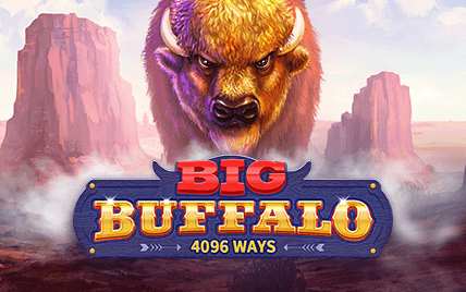 Big Buffalo